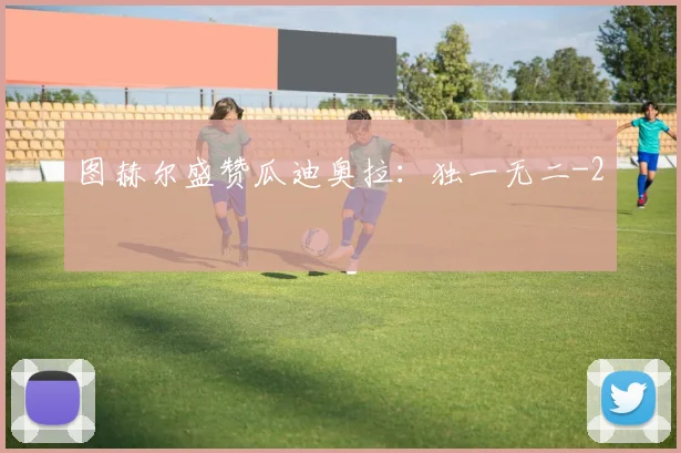 图赫尔盛赞瓜迪奥拉:独一无二