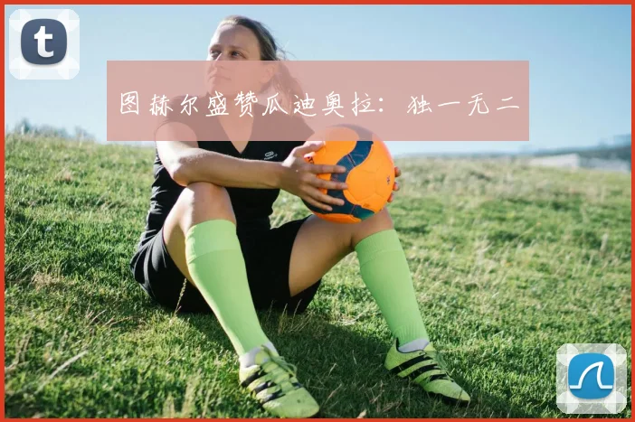 图赫尔盛赞瓜迪奥拉：独一无二
